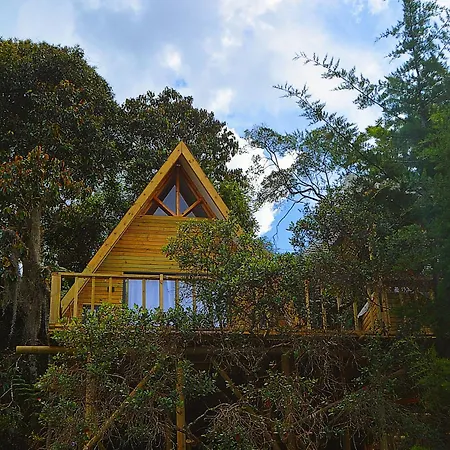 Cabana Madre Selva San Vicente  Exterior photo