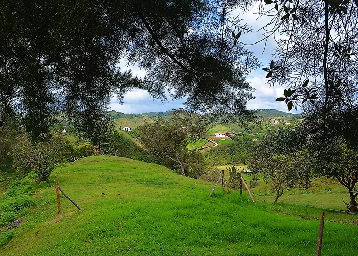 Cabana Madre Selva