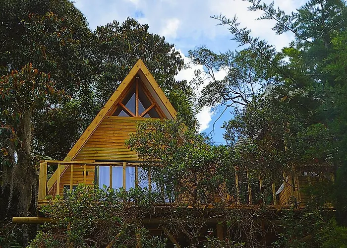Cabana Madre Selva
