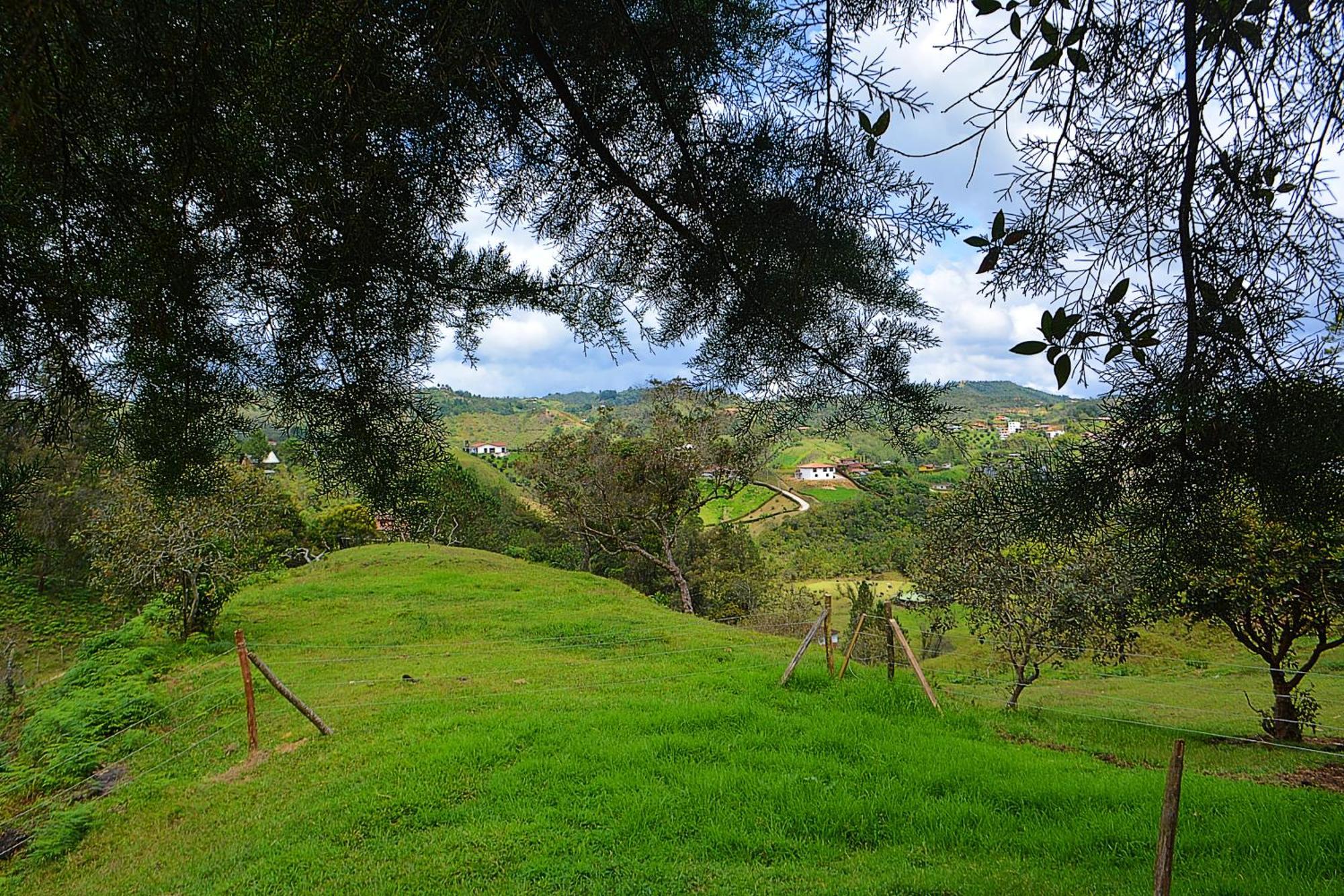 Chalet Madre Selva *
