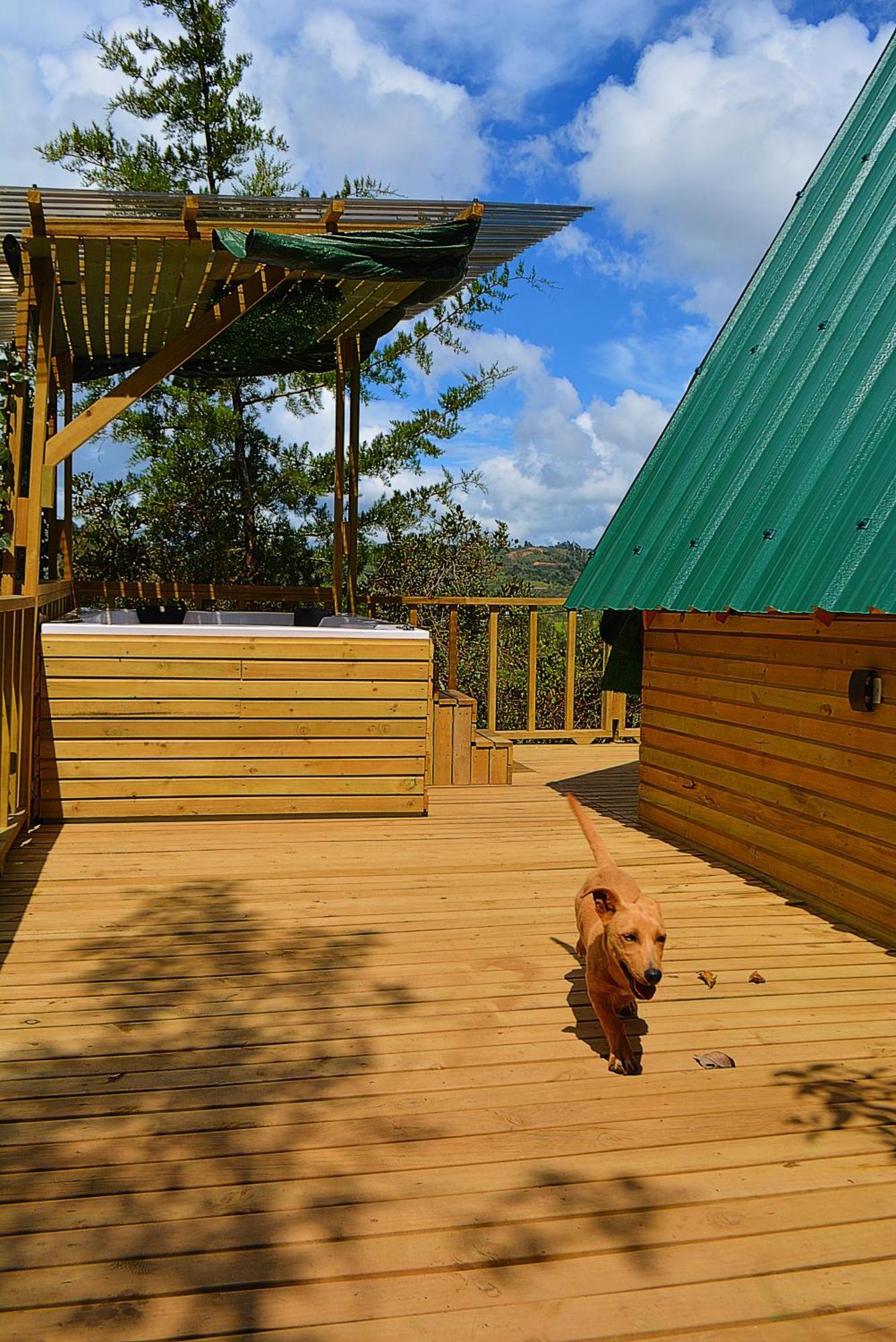 Chalet Madre Selva