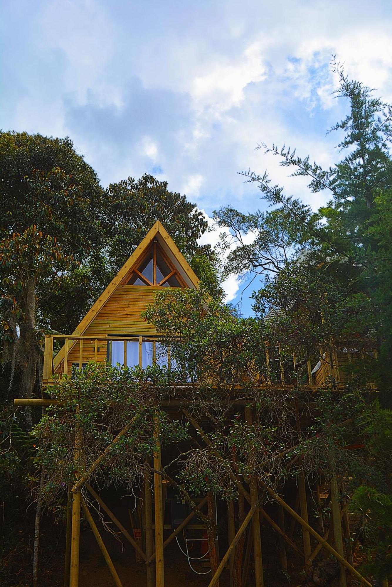Madre Selva * San Vicente (Antioquia)
