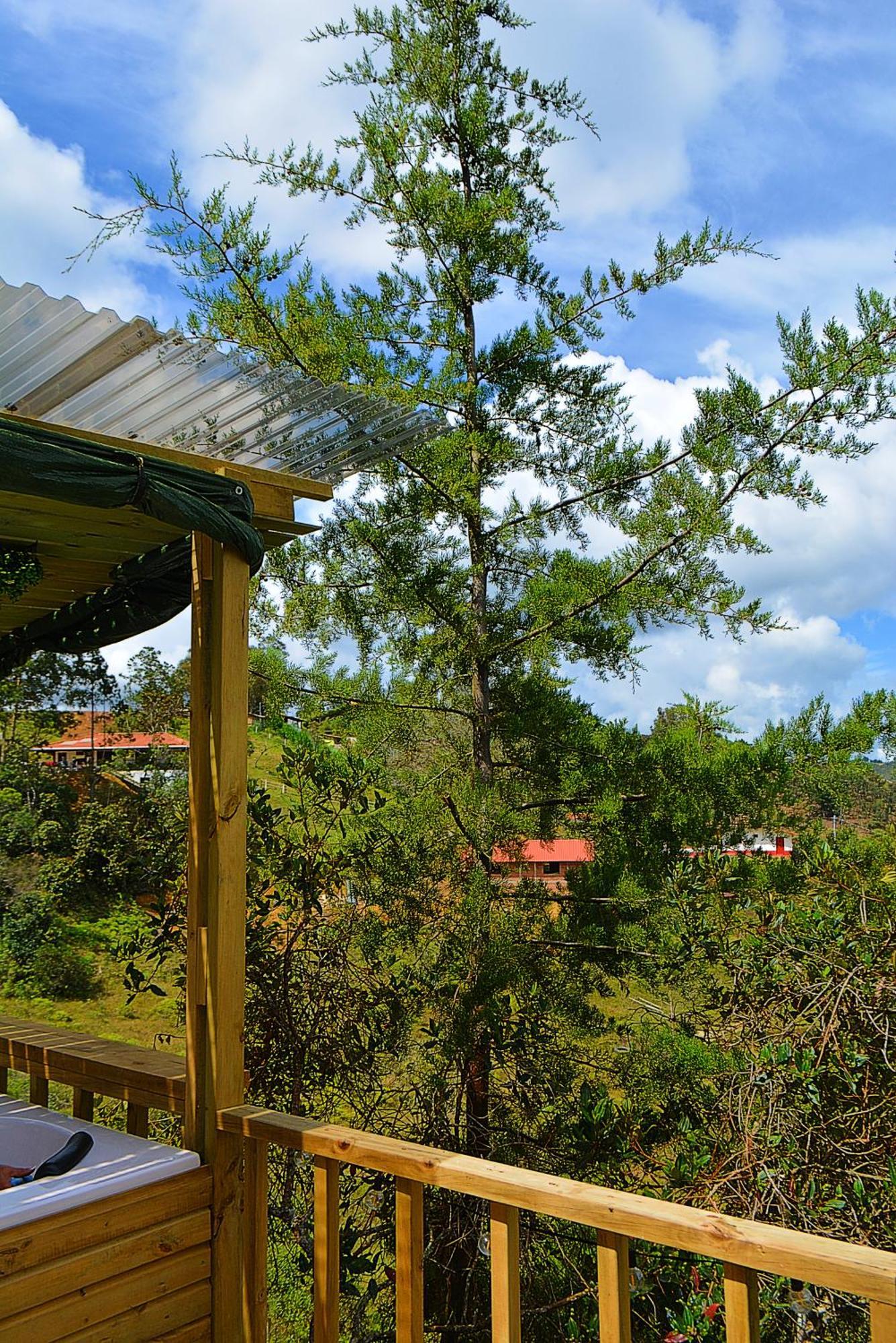 Madre Selva * San Vicente (Antioquia)