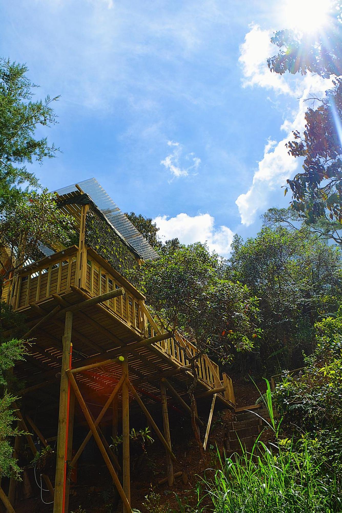 Madre Selva * San Vicente (Antioquia)