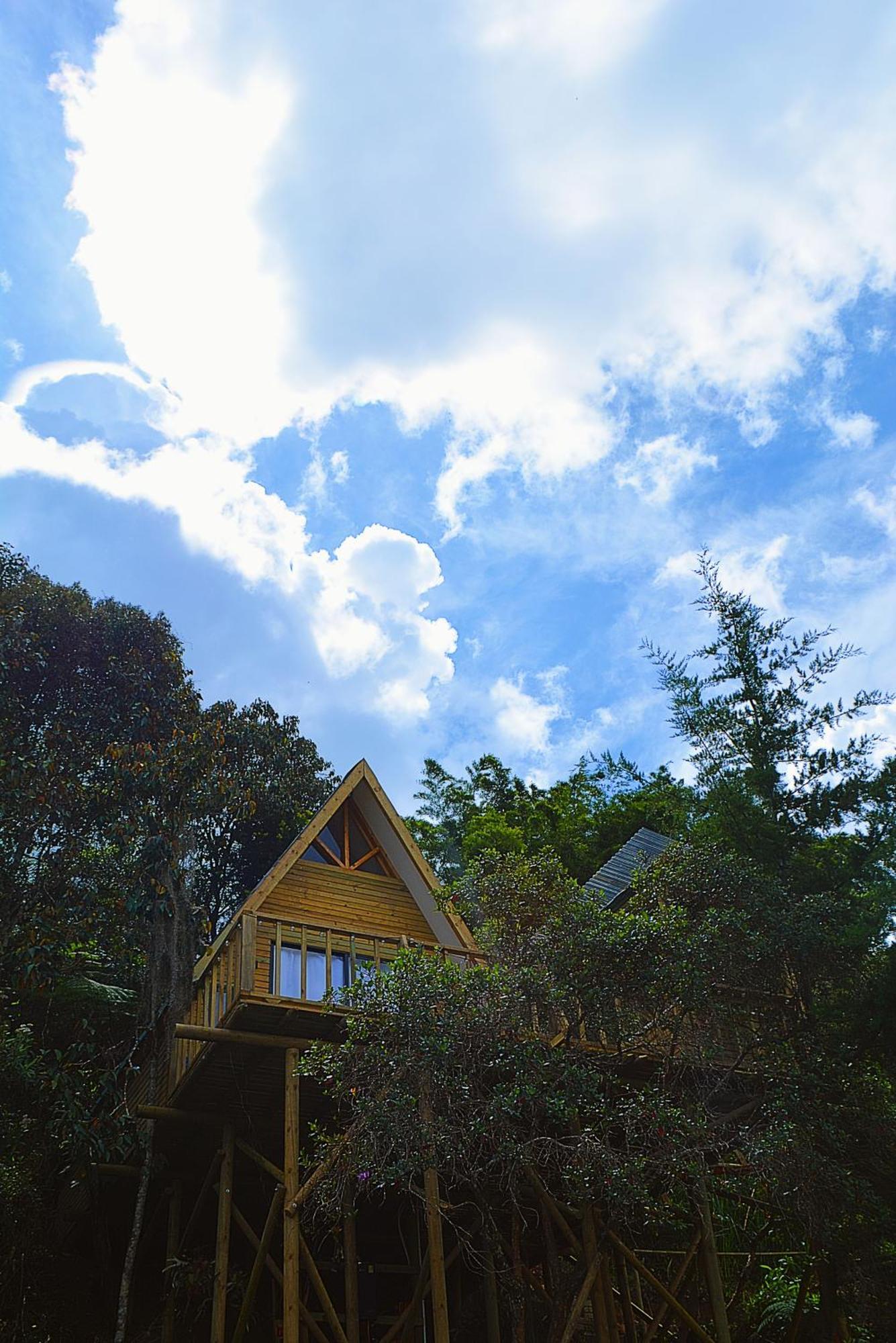 Madre Selva Chalet